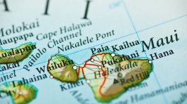 wildfire relief in maui - 1