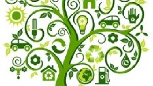 going-green-tree-wellness-sustainability