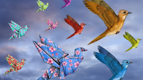 from inclusion to belonging